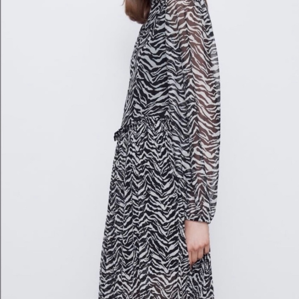 Zara Black and White Zebra Long Sleeve Dress